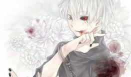 动漫冷酷,动漫中的冰霜英雄传奇